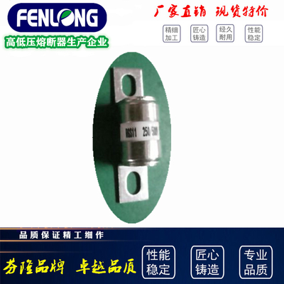 RGS11快速熔斷器-FENLONG品牌