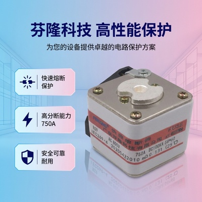 源头厂家，芬隆RS6-2快速熔断器-全国火速发货