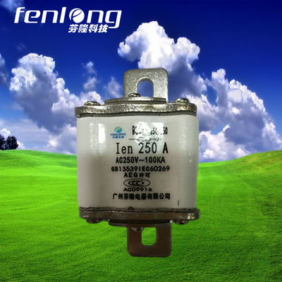 螺栓式快速熔斷器訂做