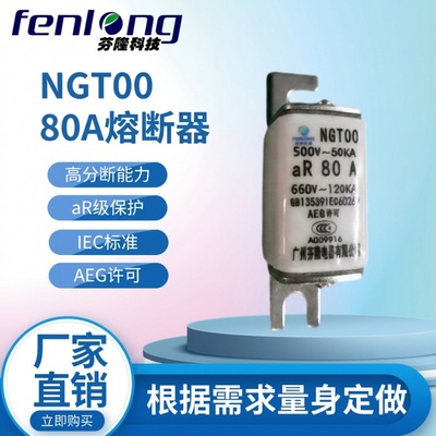 芬隆RGS11快速熔断器-急单优先，当天发货
