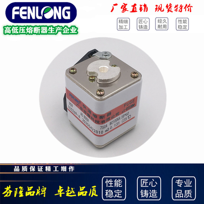 105RSM-800V/160A半導體快速熔斷器-FENLONG品牌