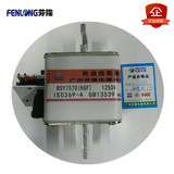 RSY7570快速熔断器订做-芬隆科技
