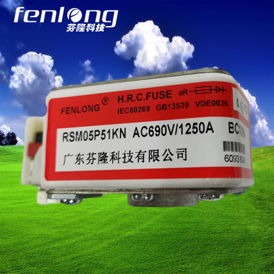 RSM05P51KN快速熔斷器定制