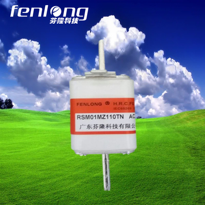 各種非標熔斷器訂做