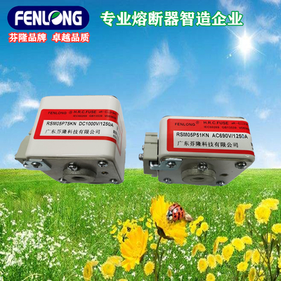 芬隆RSM05P51KN-690V/1250A半导体快速熔断器