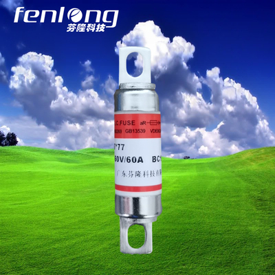 100%正品特價-RGS0/10-20A快速熔斷器-廣東直銷