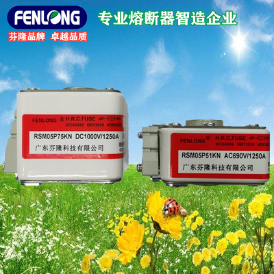 芬隆熔斷器-高端品牌精工細作