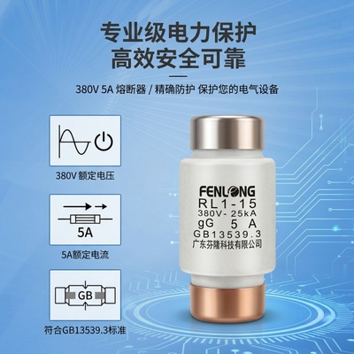 源头厂家，芬隆RGS14B快速熔断器-全国火速发货