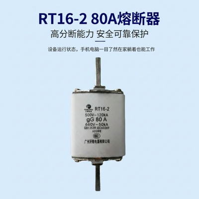 芬隆RSM01MZ80KN快速熔断器-急单优先，当天发货