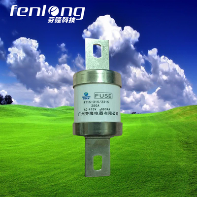 RT11/RT15熔斷器定制