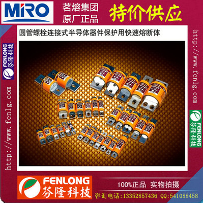 R302SZ特殊熔斷器訂做-MRO正品特價供應