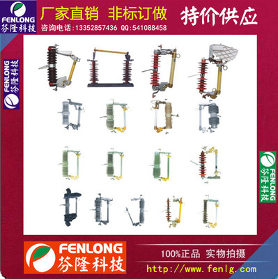 RW11-12KV/100A跌落式熔斷器-廠家直銷