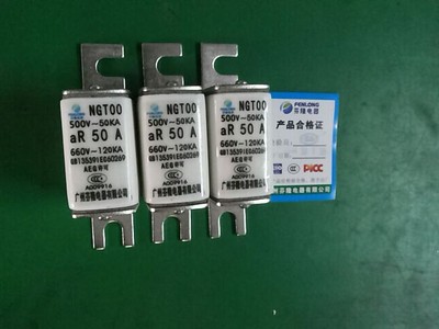 芬隆牌NGT00-80A熔斷器