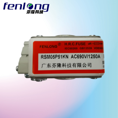 RSM05P105KN快速熔断器